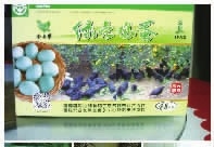 XPJ官网,油茶种植出产加工销售,植物油种植出产加工销售 XPJ官网,油茶种植出产加工销售,植物油种植出产加工销售